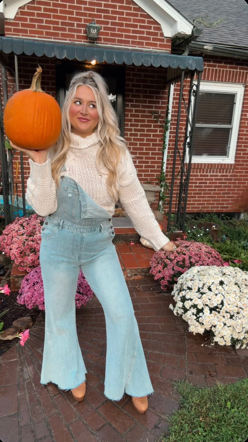 Three Bird Nest: Day Off Overalls