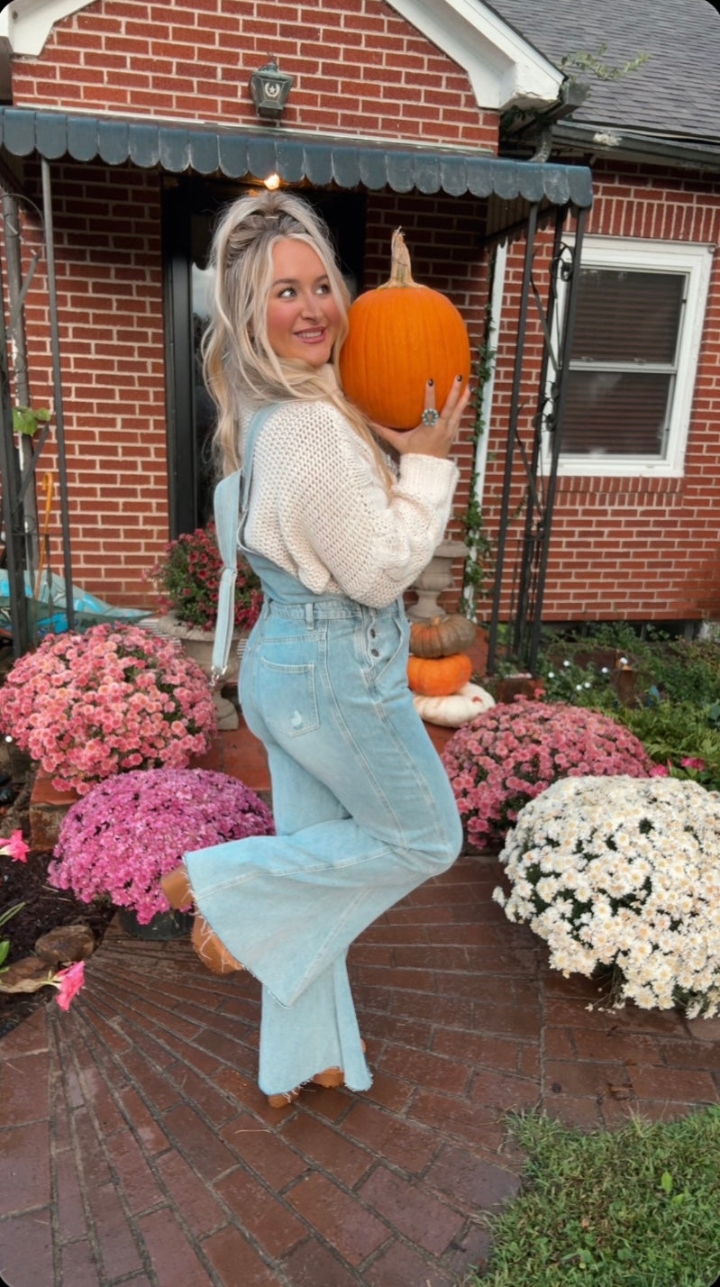 Three Bird Nest: Day Off Overalls