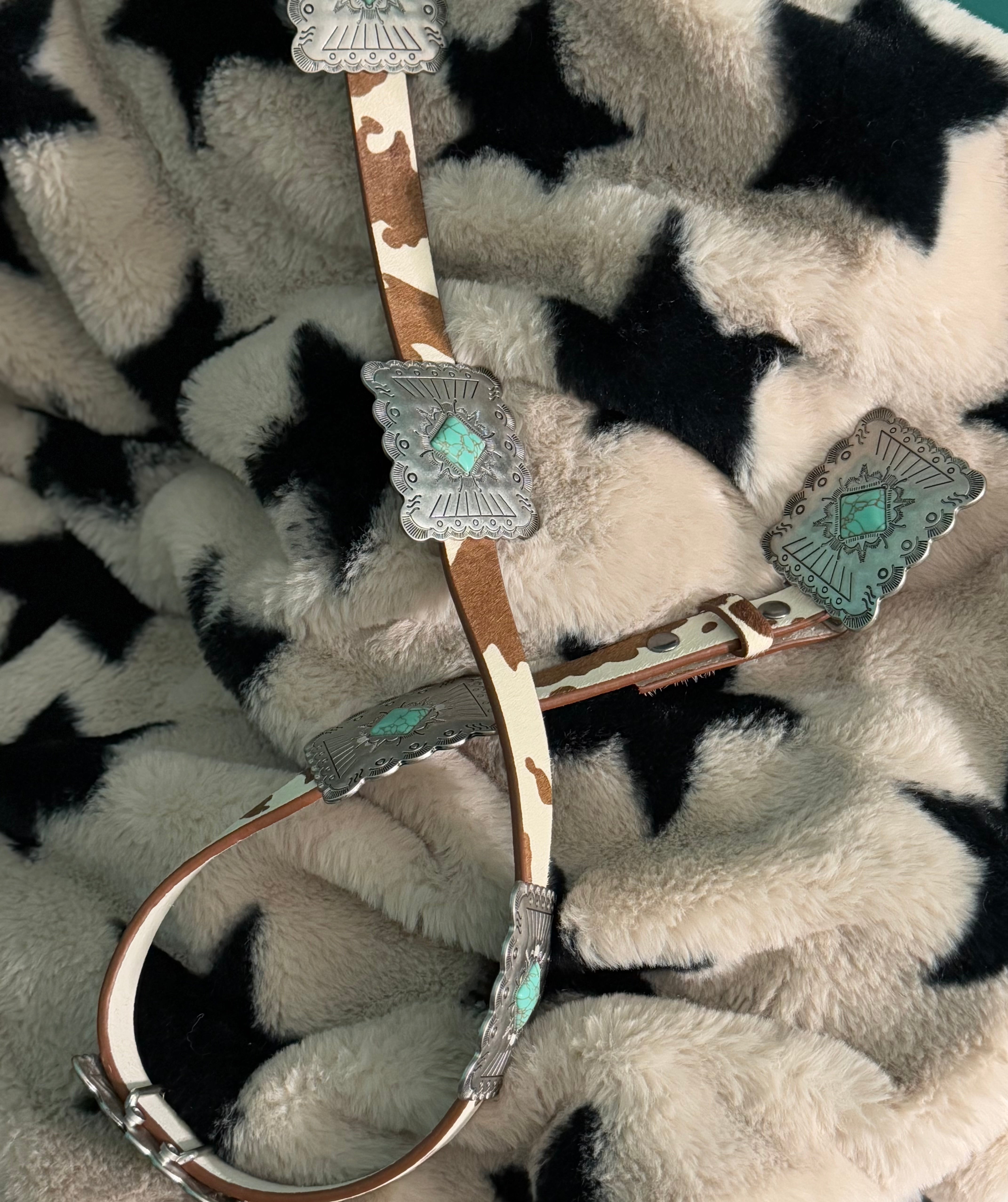 The Lambert Belt (Cow)