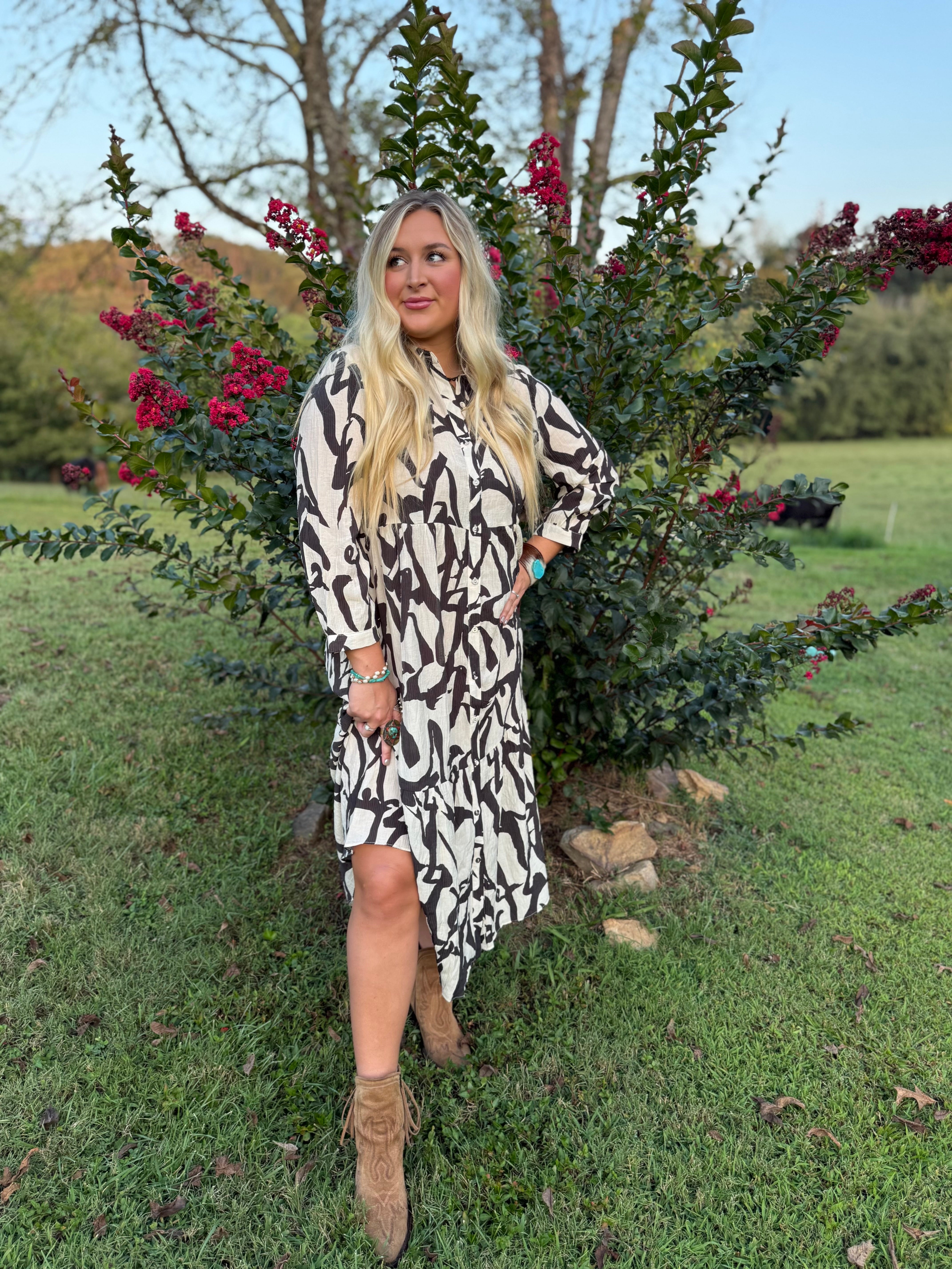 A lovely Day Black and White Dress