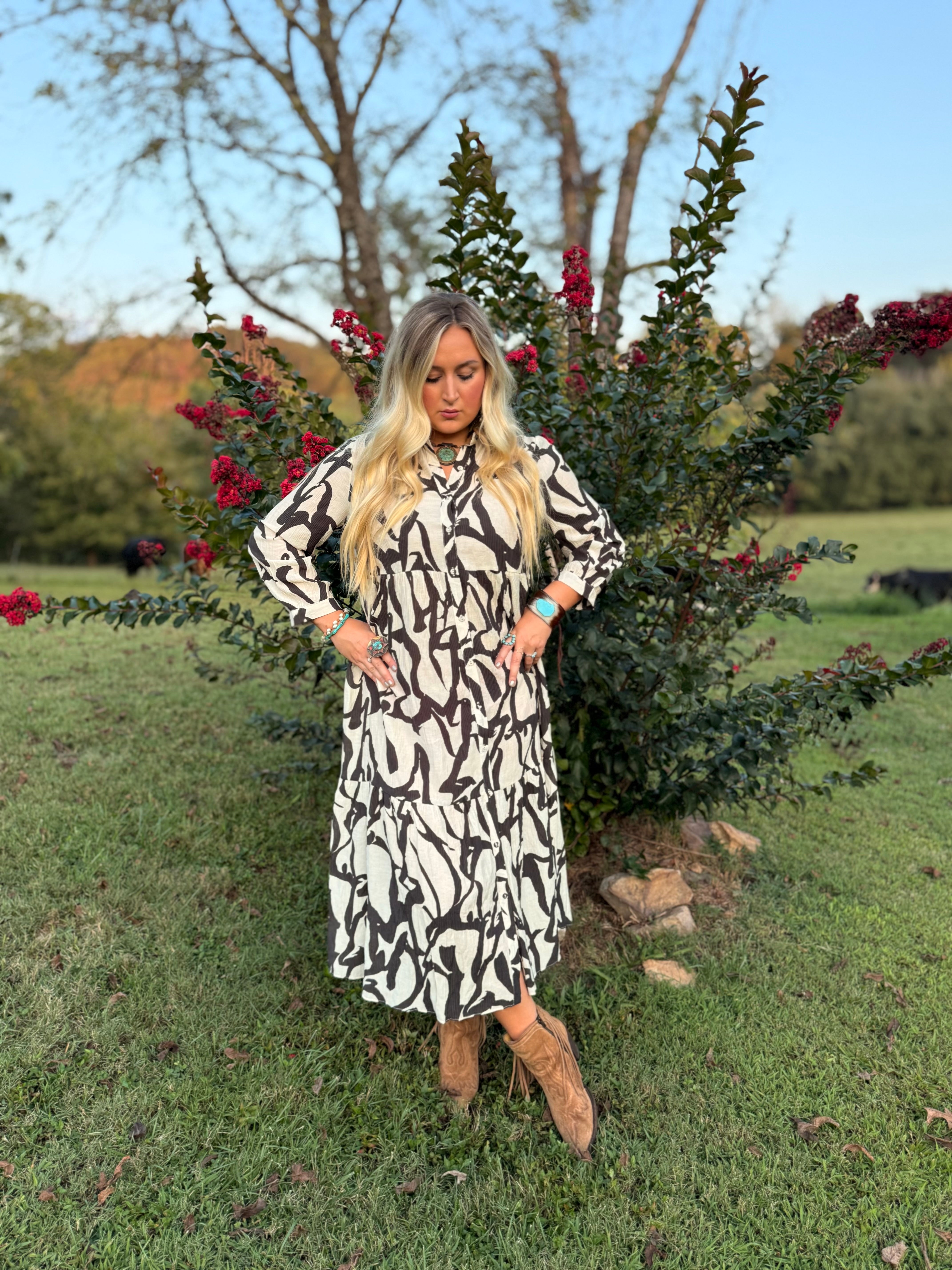 A lovely Day Black and White Dress