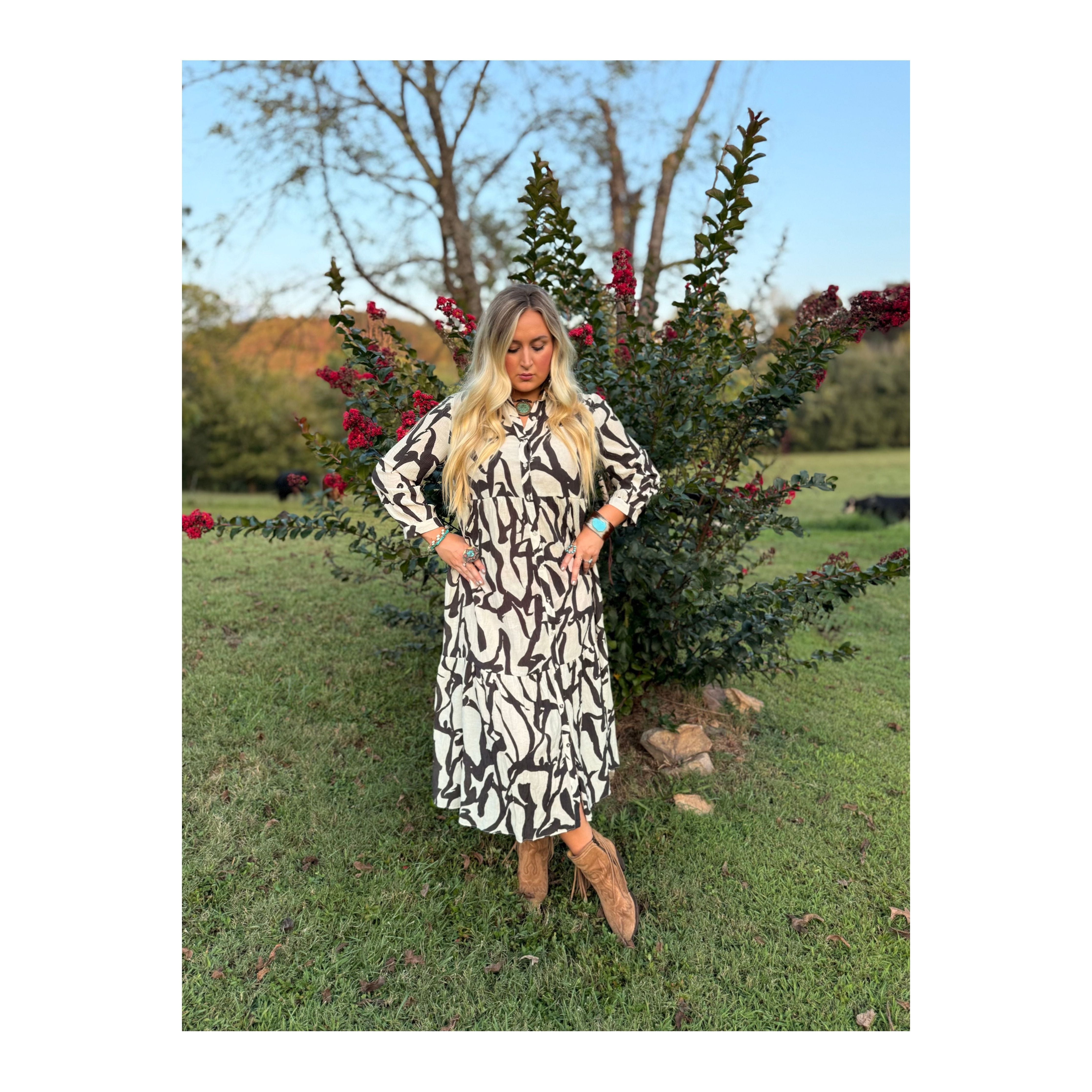 A lovely Day Black and White Dress