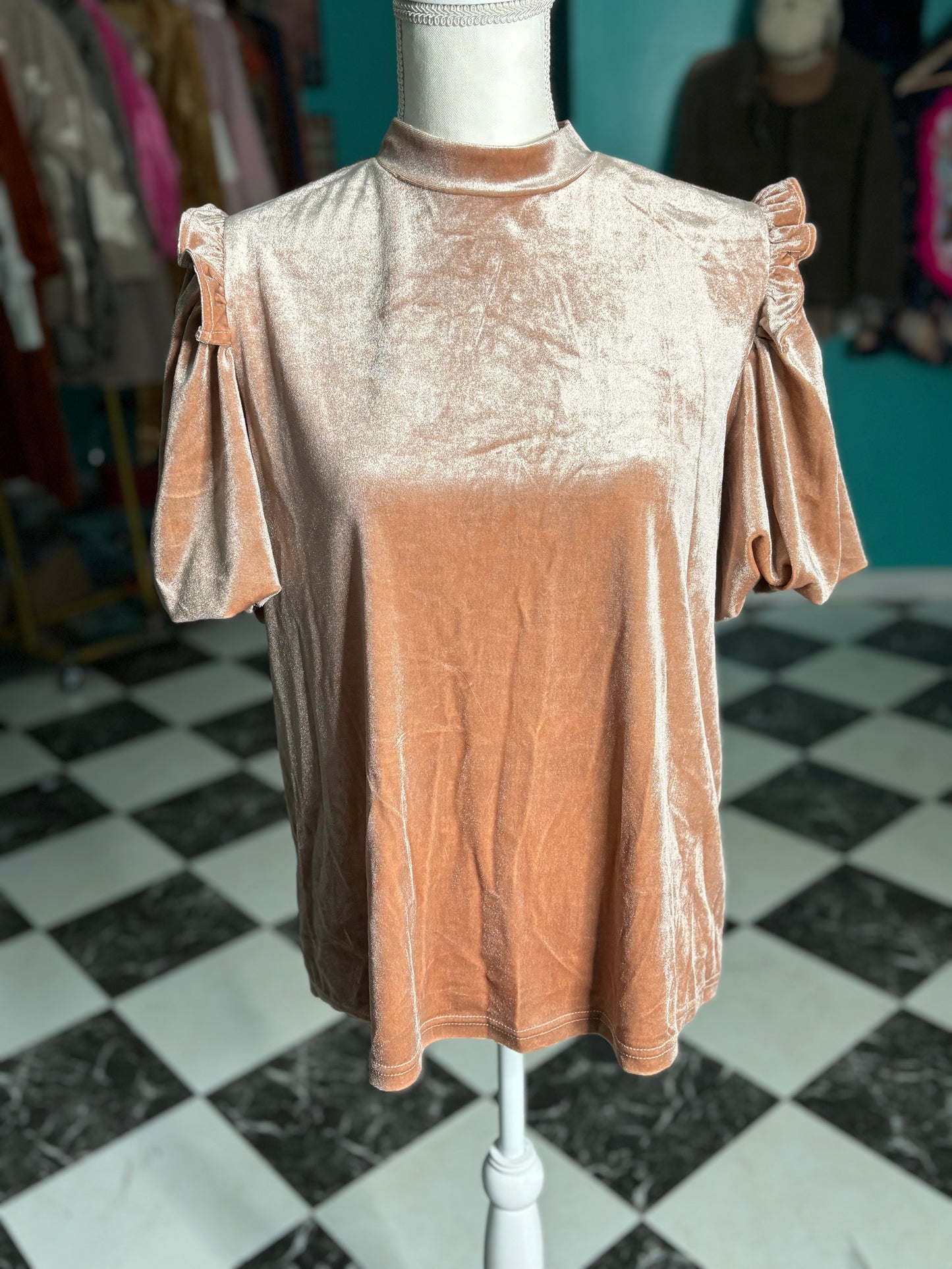 Beige Velvet Puff Sleeve Top