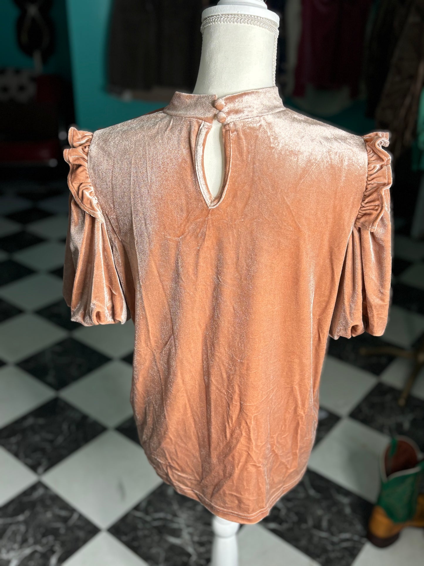 Beige Velvet Puff Sleeve Top