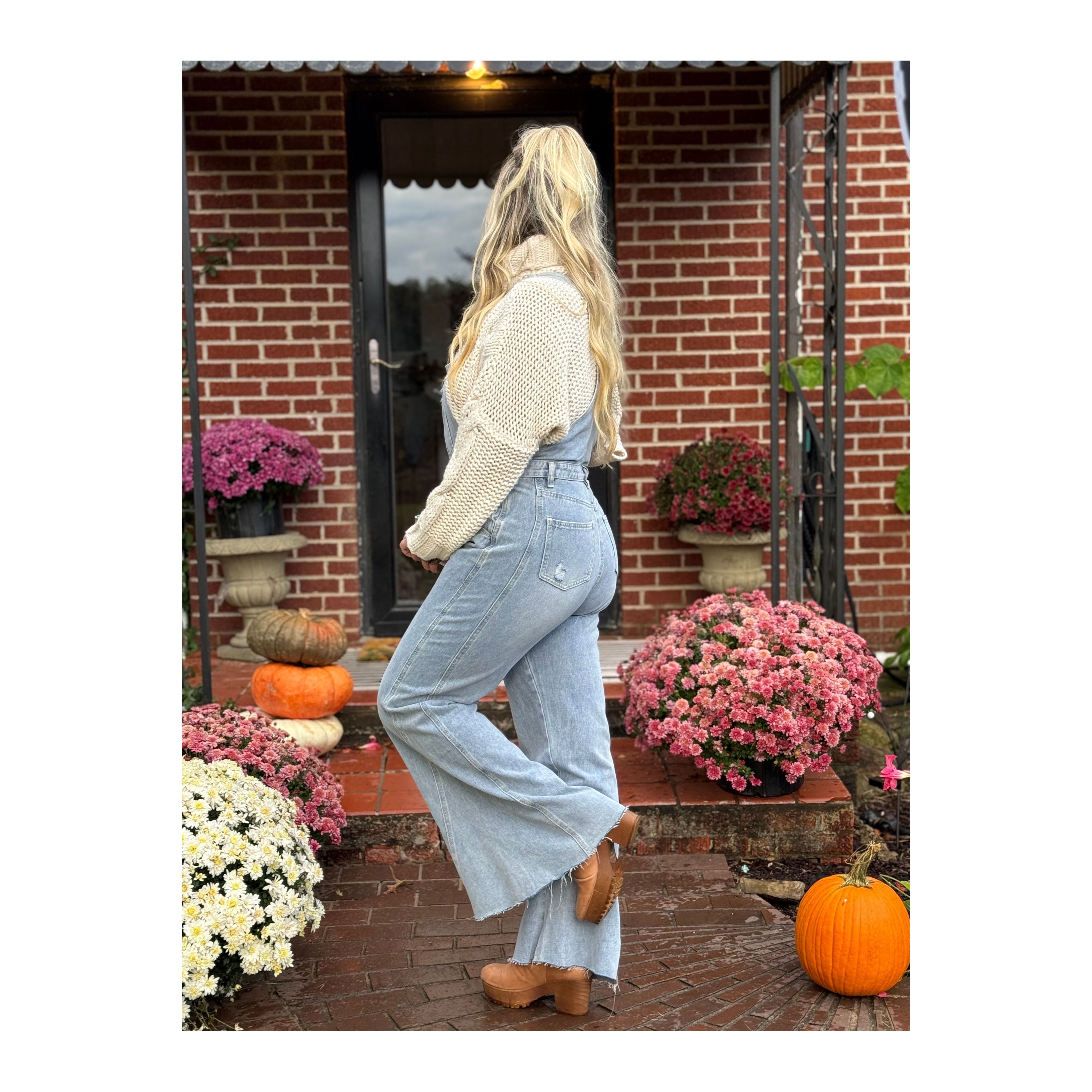 Three Bird Nest: Day Off Overalls