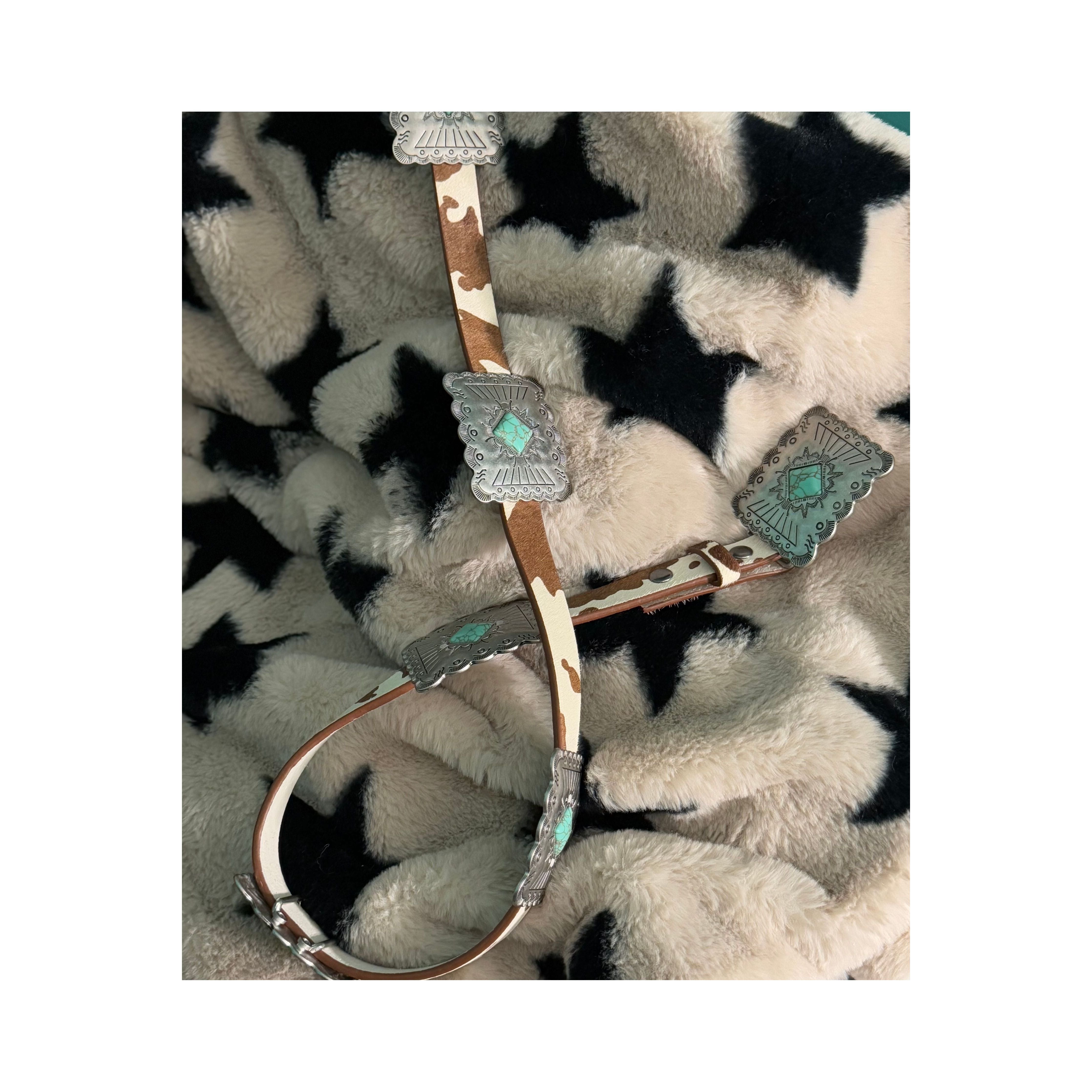 The Lambert Belt (Cow)