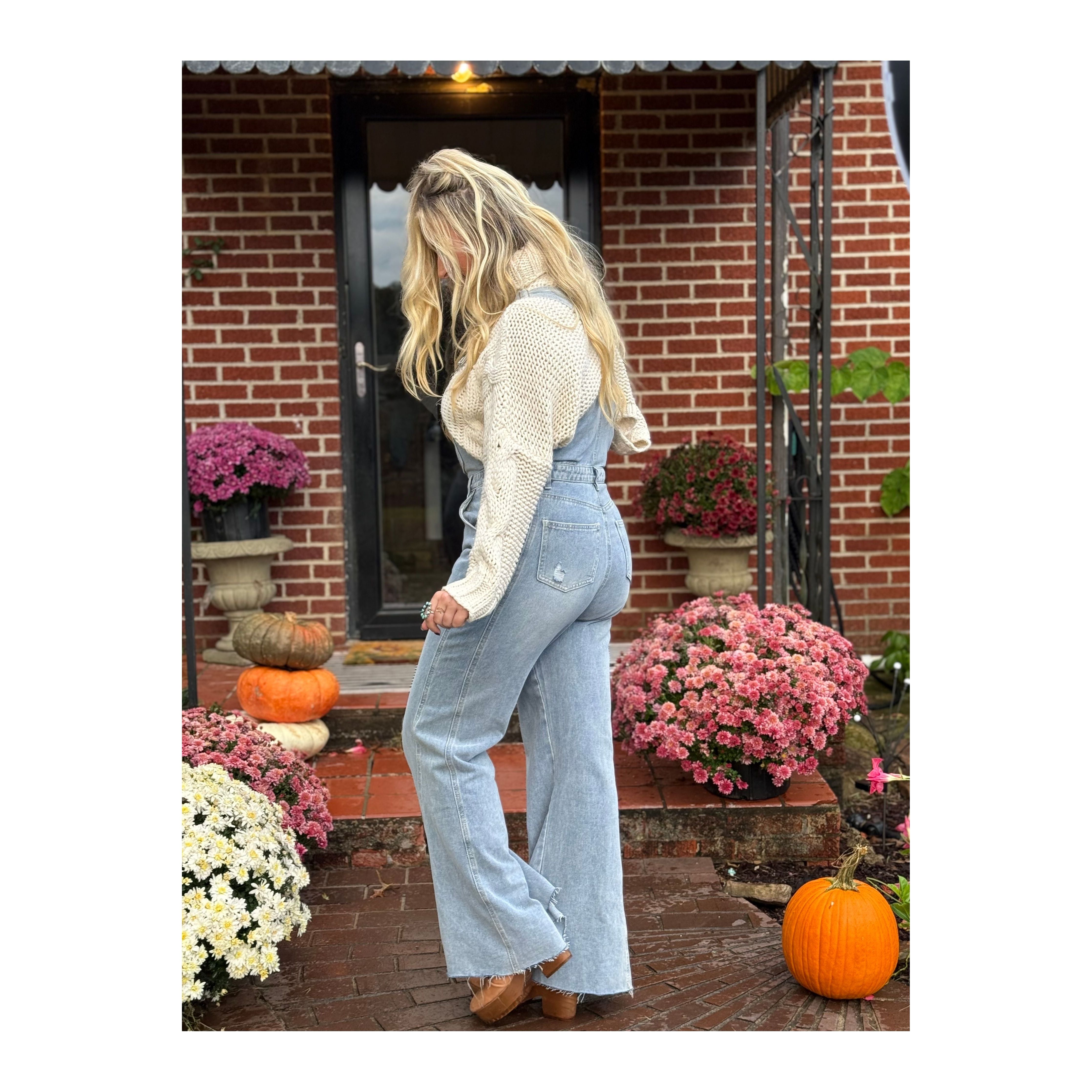 Three Bird Nest: Day Off Overalls