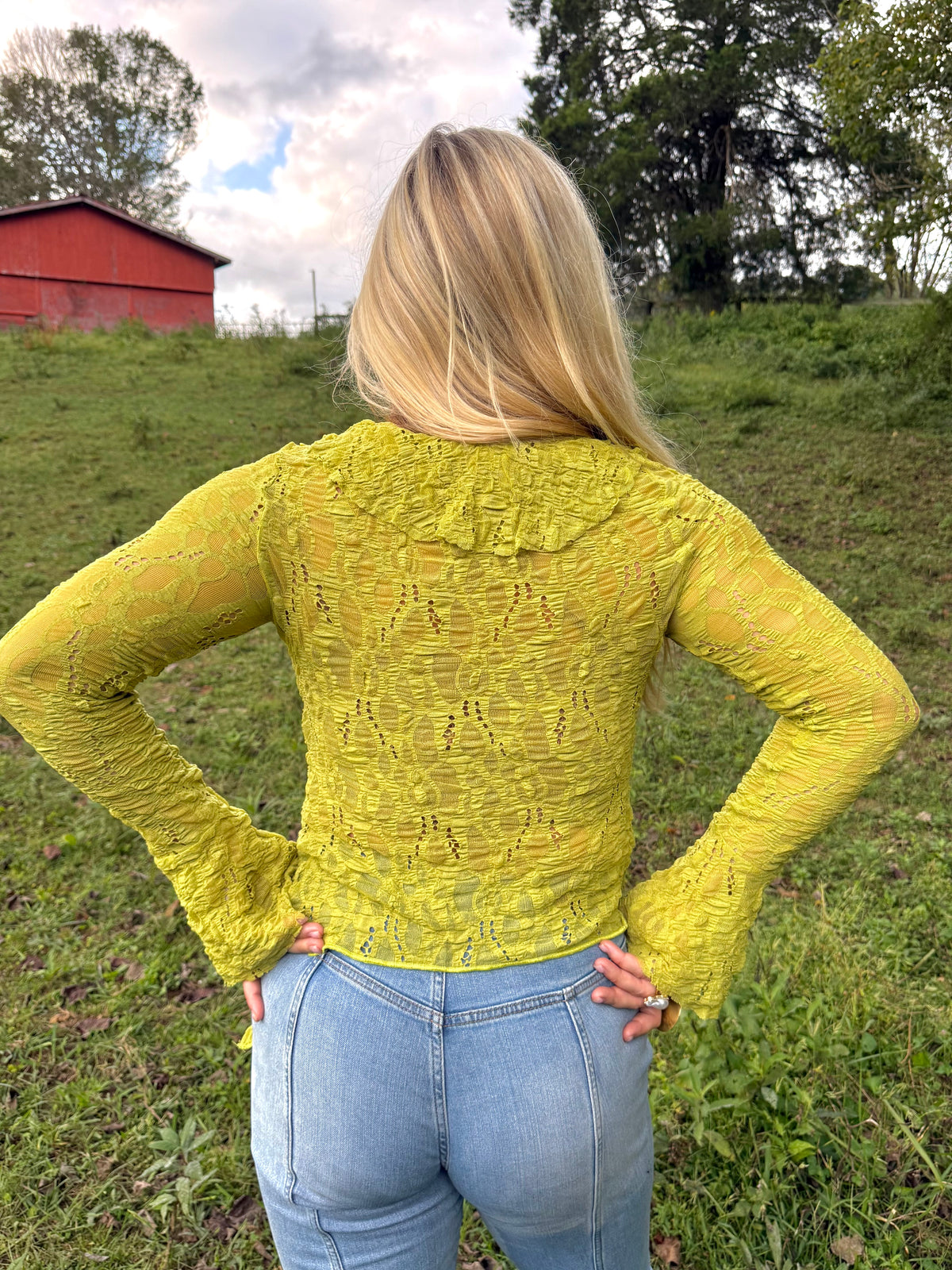 Sunlit Sage Lace Top