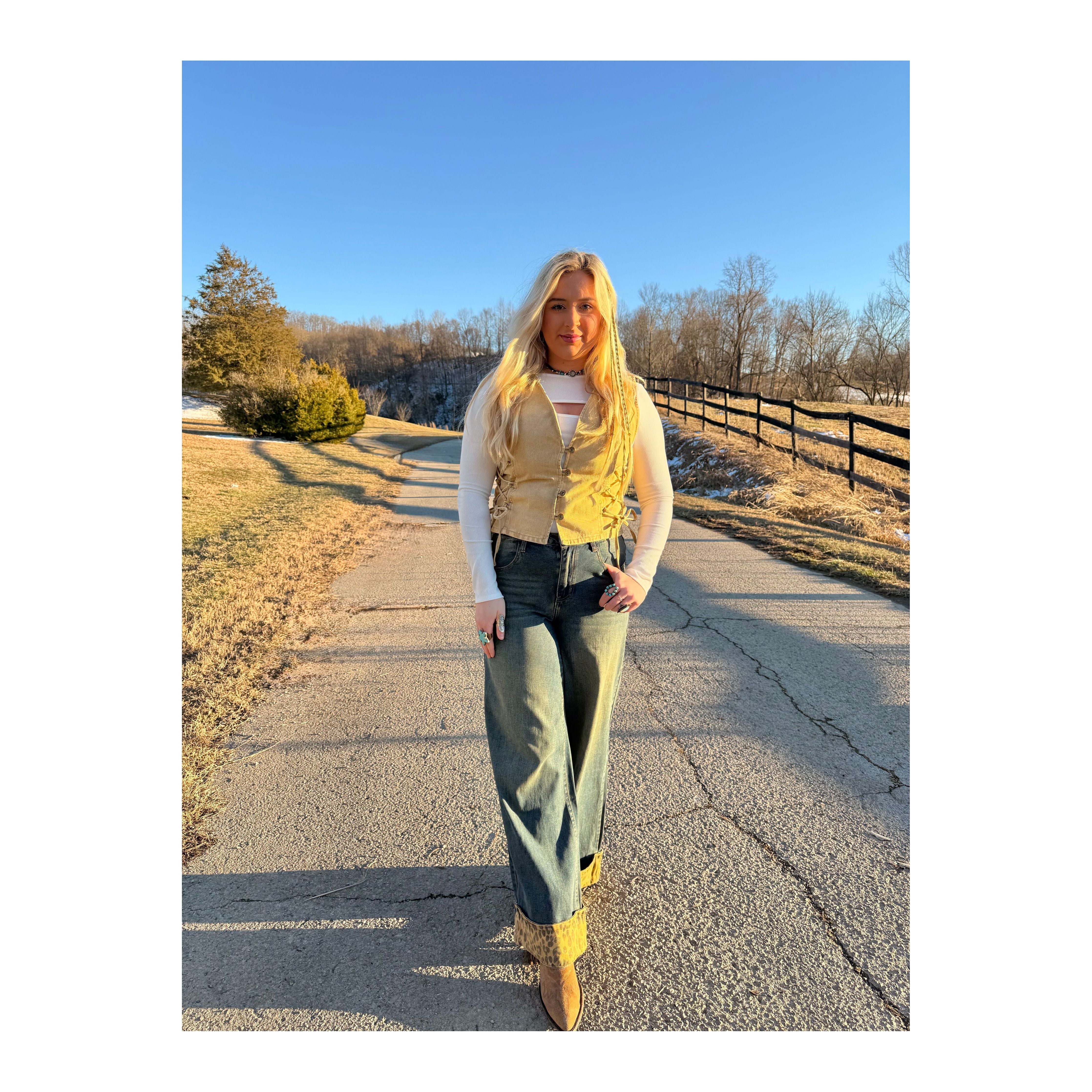 Wisteria Vest (tan)