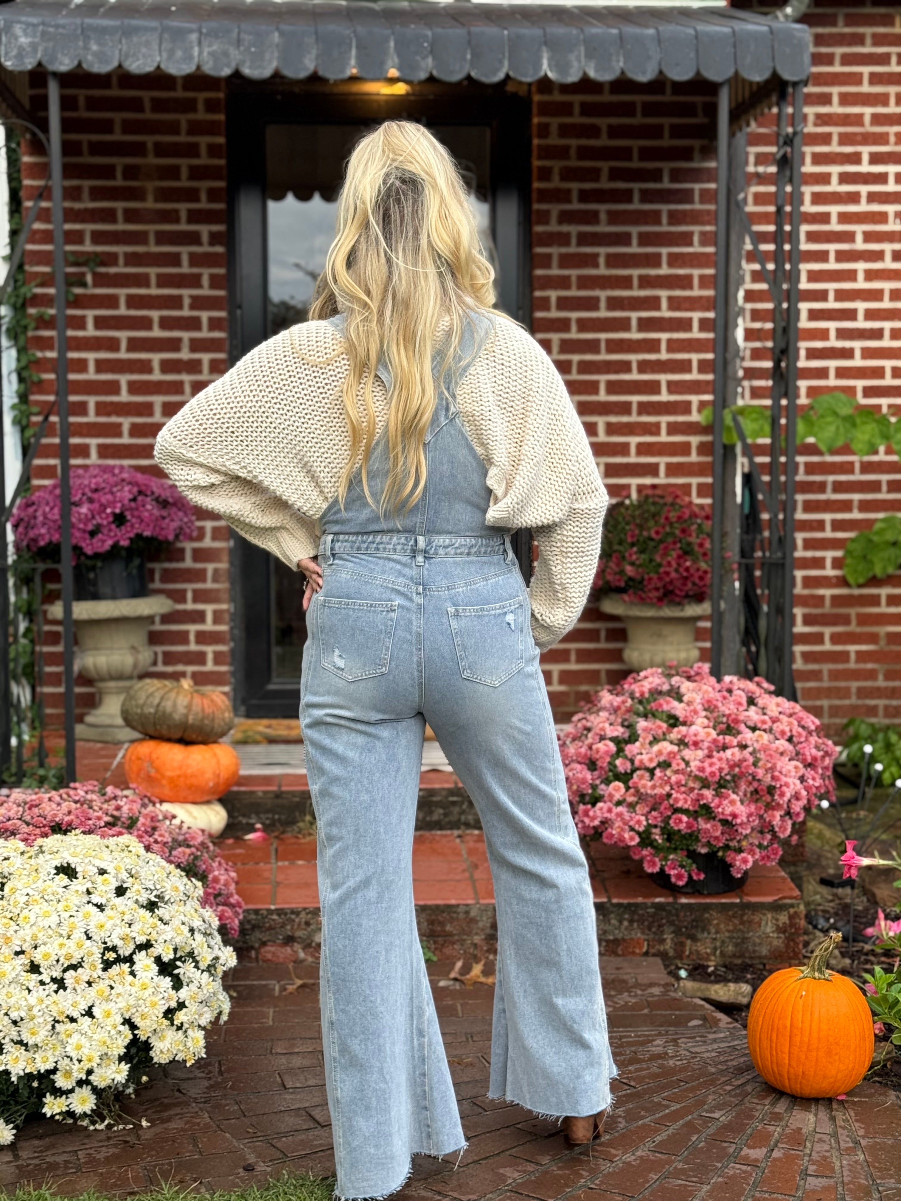 Three Bird Nest: Day Off Overalls