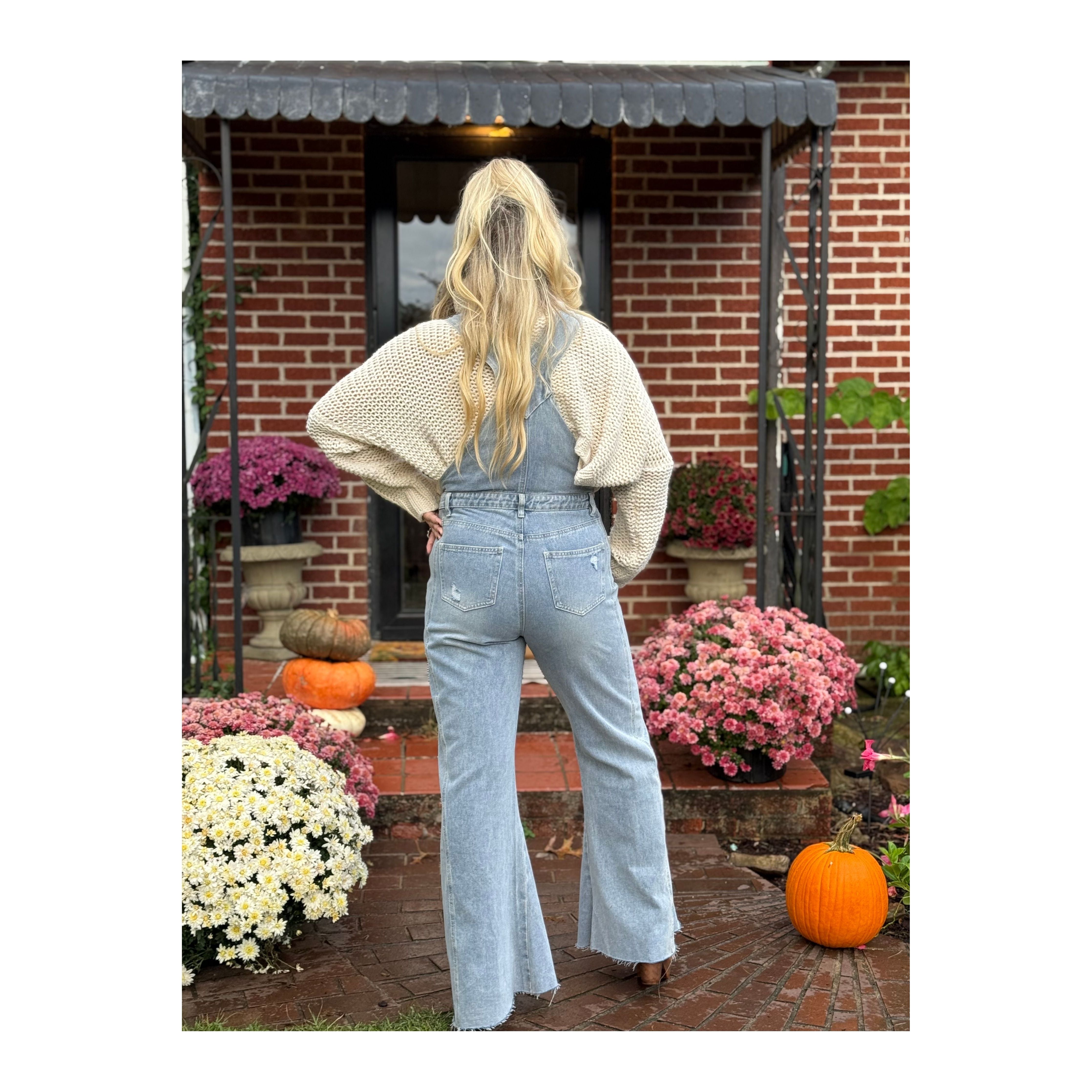 Three Bird Nest: Day Off Overalls